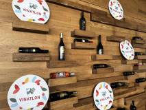 Vinatlon Konferencija 17